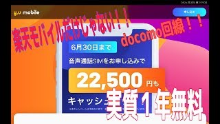 【y-u mobile】楽天モバイルだけじゃない！１年無料で使える音声付きSIM！これはイイッ！！