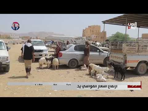 حضرموت | ارتفاع أسعار المواشي يحرم الكثير من الأسر من الأضاحي - تقرير: أشرف الصوفي