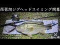 【初心者必見‼︎】今年も開幕した琵琶湖陸っぱりジグヘッド戦線を実釣&解説【deps】【デスアダー】【サイレントスティック】