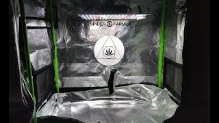 TempleGrower grows with SpiderFarmer - SF1000 UNBOXING