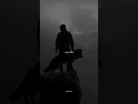 آرزوی یکی بودم باهاش رفتم به گور بهرام نورایی