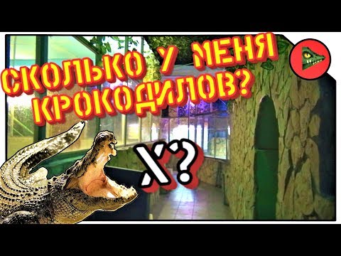 СКОЛЬКО ВСЕГО У МЕНЯ КРОКОДИЛОВ? Посчитаем наших крокодилов.
