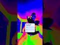 DO YOU LIKE ANIMALS? #shorts #funnycats #8cats #familyhumor #relatable #cuteanimals #funny #tiktok