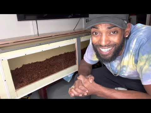 Building A custom enclosure for my 9foot reticulated python