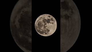 Vollmond mit dem GSO Dobson 250 / 1250 TikTok Live Stream #mond #moon #space #vollmond