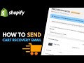 How to Manually Send Abandoned Checkout Recovery Emails to Customers