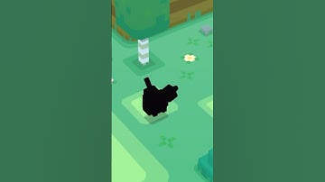 I Caught the Rarest Eevee! #pokemon