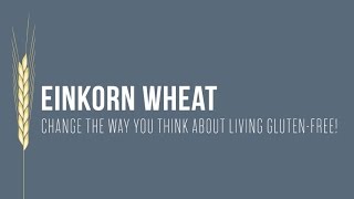 Einkorn Wheat: Change the Way You Think About Living Gluten-Free