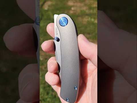 kubey momentum, m390 steal, still one of the best knives I own. action is phenomenal.