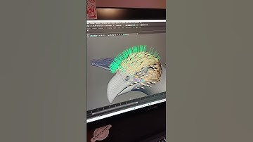 Plumas en Yeti #feathers #grooming