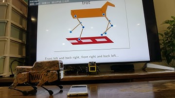 MiniPupper, Gait Demo