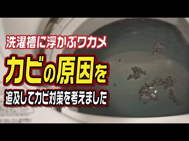 （黒ワカメになります） 洗濯槽に浮かぶワカメ「カビの原因」を追及してカビ対策を考え