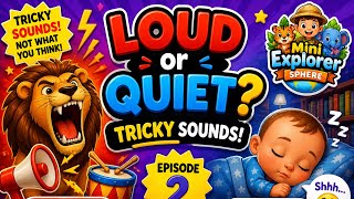 Loud or Quiet? #2 🔊🤫 | Fun Sound Quiz for Kids | Mini Explorer Sphere screenshot 3