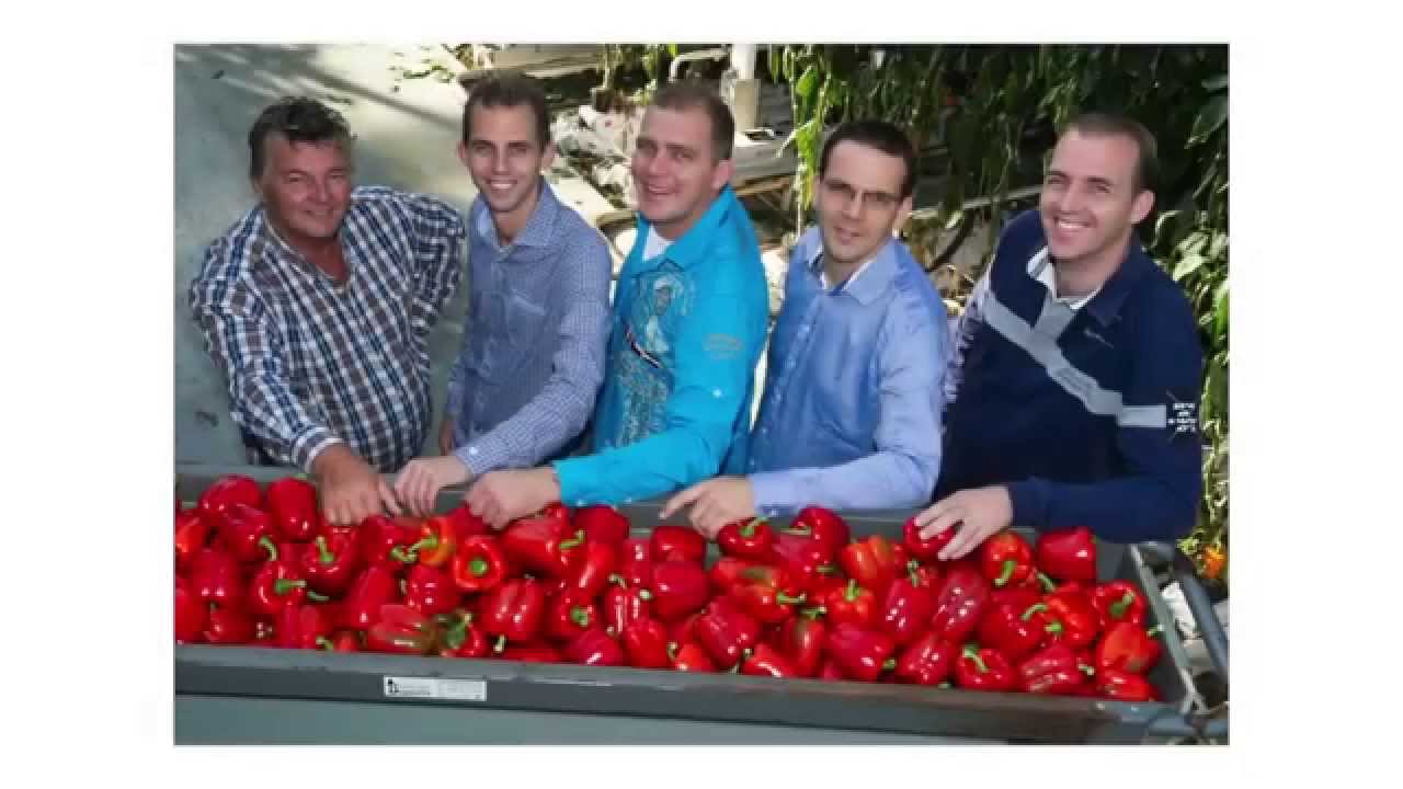 Kwekerij 4Evergreen wint Tuinbouw Ondernemersprijs 2014