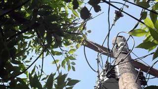 It's not always AT&T's fault when U-verse goes down...