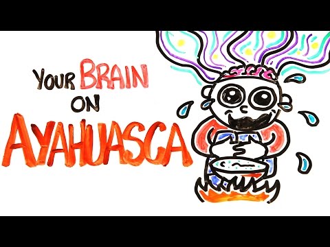 Аяхуаска дээрх таны тархи: Галлюциноген эм