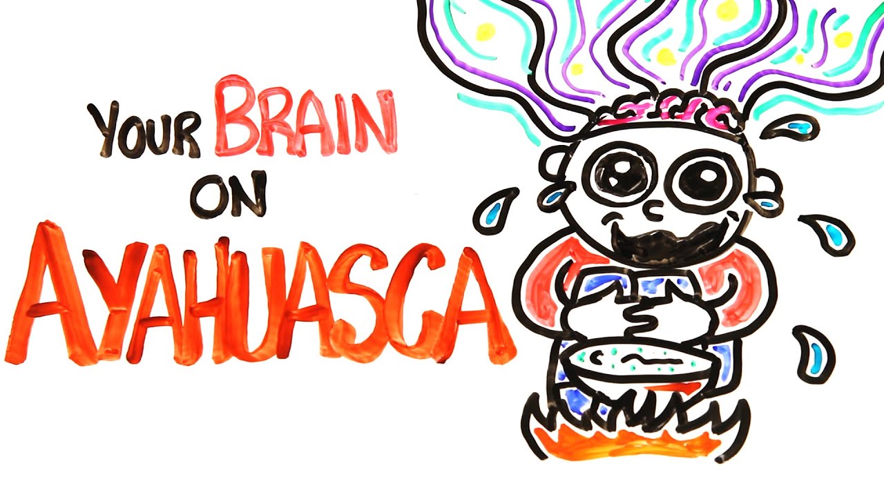 ⁣Your Brain On Ayahuasca: The Hallucinogenic Drug