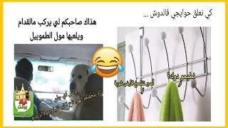 نكت جزائرية مضحكة جدا تشبع ضحك