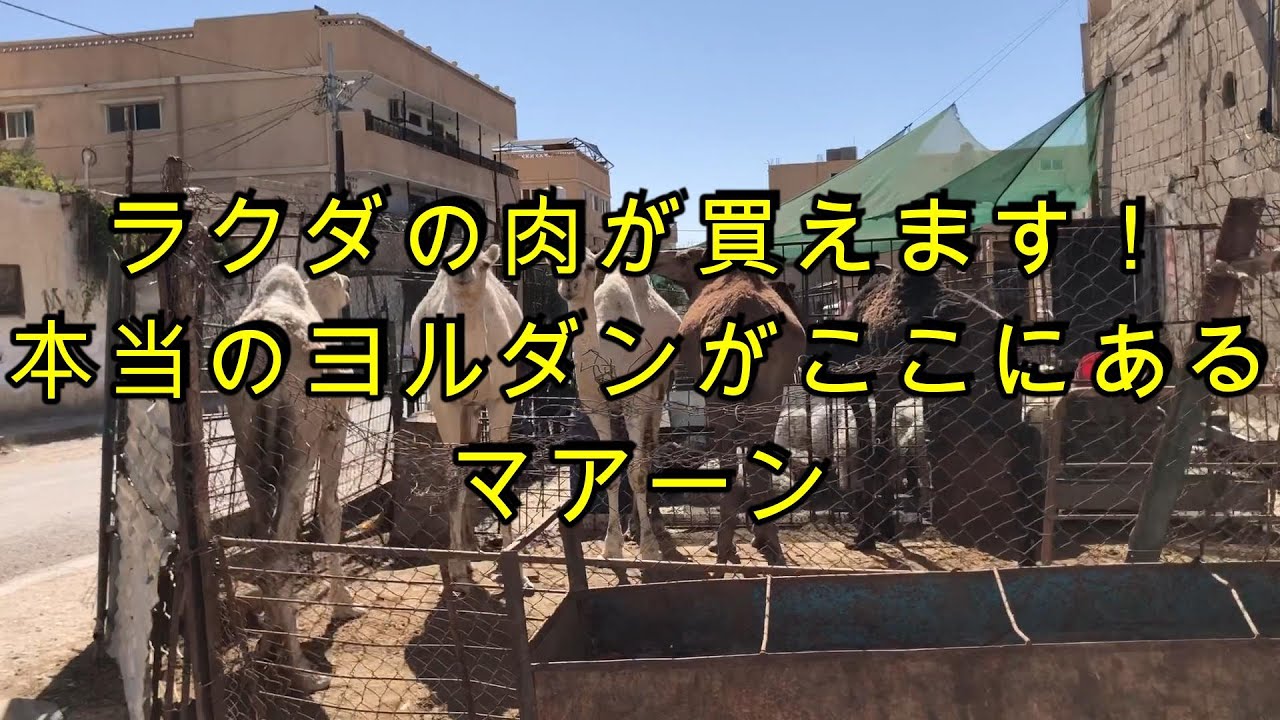 ラクダの肉が買えます！本当のヨルダンがここにある　マアーン（Ma'an）