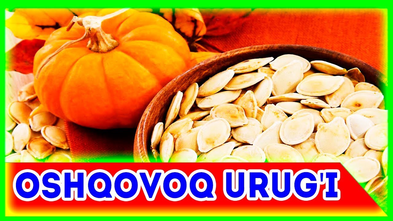 Oshqovoq urug'i biznesi