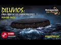 Diluvios otra obra de los extraterrestres primera parte