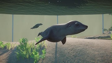 Planet Zoo North America Animal Pack: California Sea Lion
