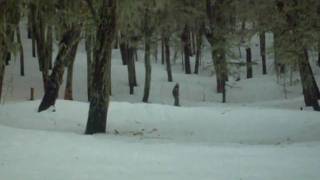 Juanceto - Chapelco 09
