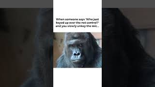 When Stealth Mode Is Your Only Option