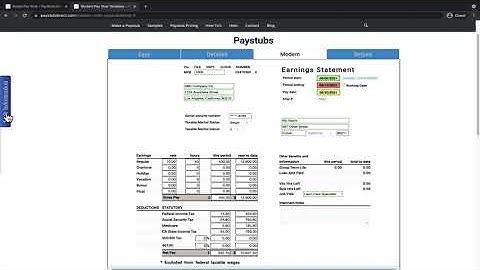 How To Use Modern Style Pay Stub Generator