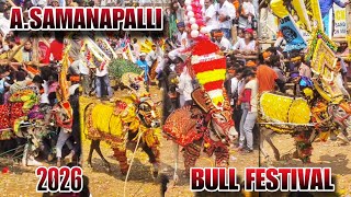 A.SAMANAPALLI BULL FESTIVAL IN 2026🔥💥🔥#trending #bull #vlog #jallikattu #athu @shivaeyekiller328 