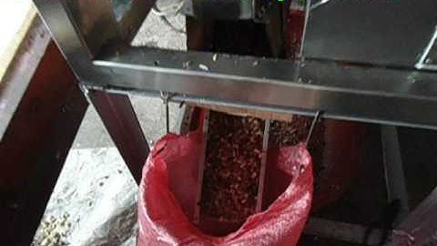 Angelon color sorter for roasted peanuts