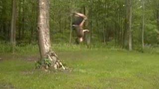 My First Wall Flip...(Tree Flip)