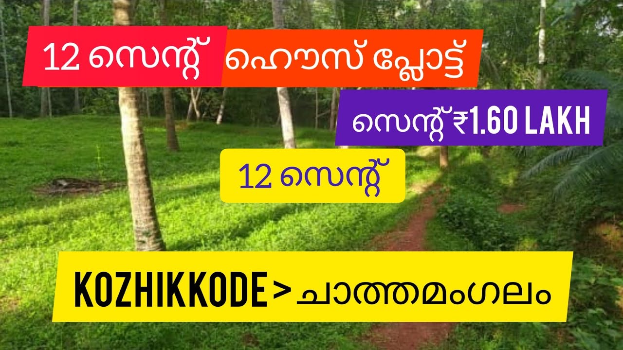 12 Cent ഹൌസ് പ്ലോട്ട് House Plot For Sale Kozhikkode ചാത്തമംഗലം