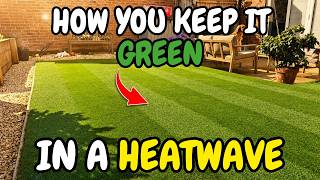How to keep your lawn GREEN during a HEATWAVE