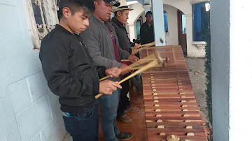 Marimba de San Sebastian....2023..los mejores sones....