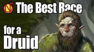 D&D Druid 5e Best Race in 5th Edition Dungeons and Dragons