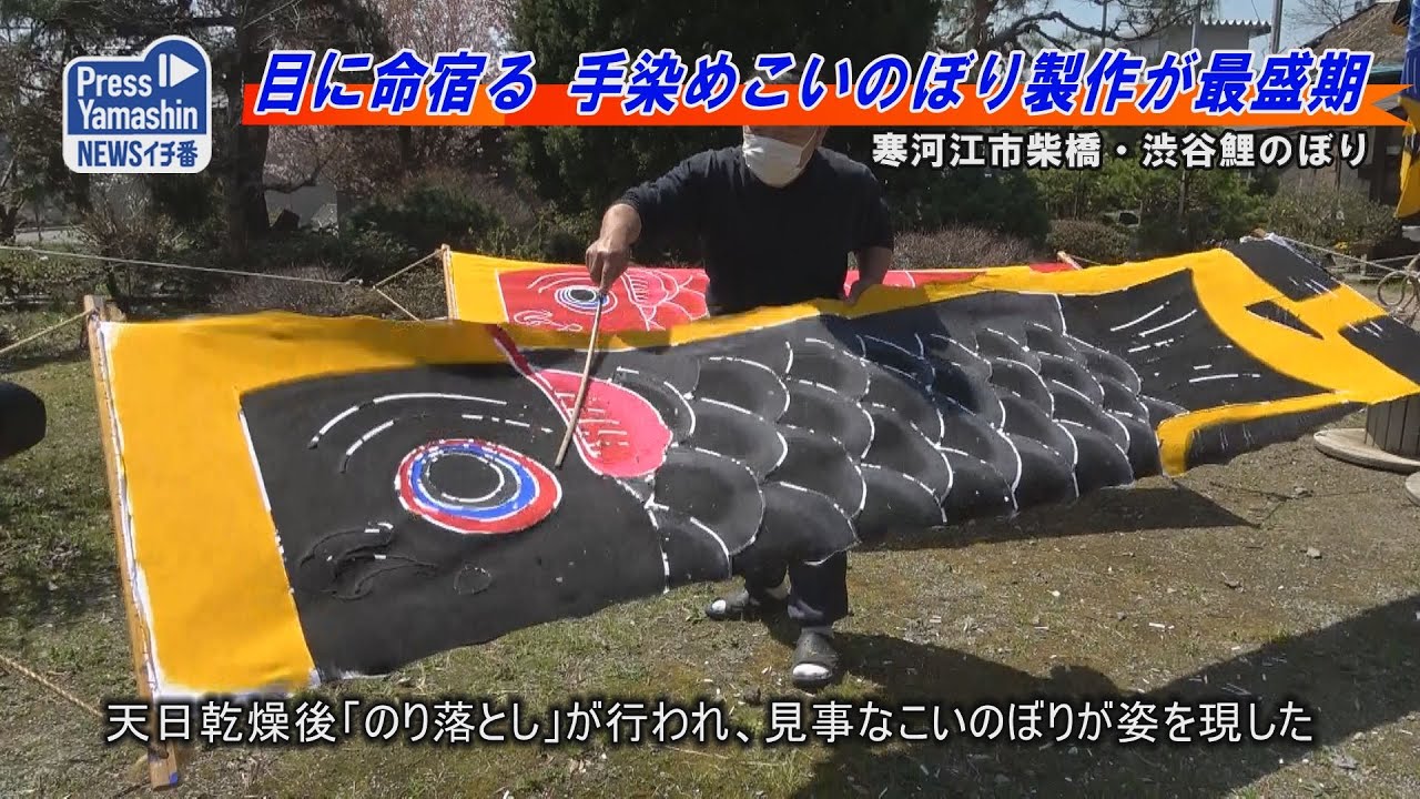 目に命宿る 手染め鯉のぼり製作が最盛期 寒河江市柴橋・渋谷鯉のぼり