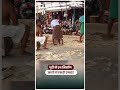 Puri Rath Yatra 2026 Rath Nirman: पुरी में महाप्रभु के तीन रथों का निर्माण कार्य तेज |UBC NEWS