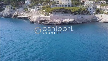 Oshibori Concept Presentation