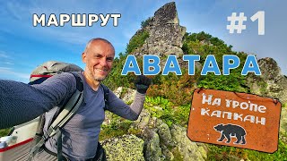 видео: Маршрут Аватара в горах Хамар-Дабана | Попал в медвежий капкан в лесу | Нашёл кокос в тайге | День 1 картинка: Маршрут Аватара в горах Хамар-Дабана | Попал в медвежий капкан в лесу | Нашёл кокос в тайге | День 1