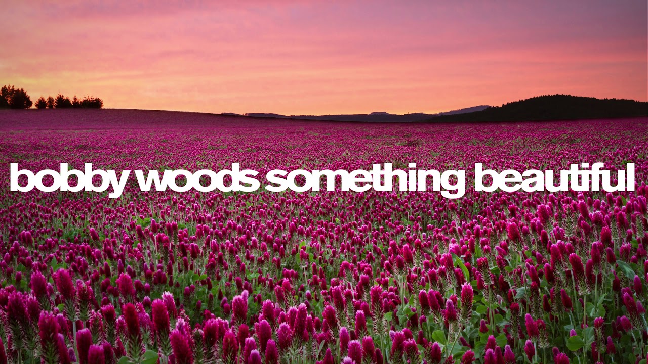 Bobby Woods - Something Beautiful - Les Deux Love Orchestra