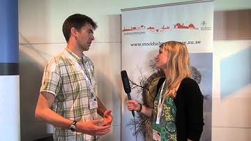 What is transdisciplinarity?