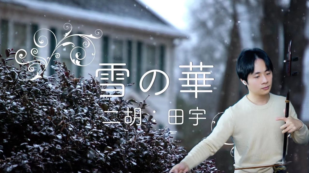 雪の華/二胡：田宇