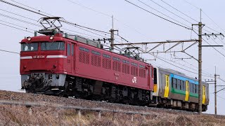 2022/03/10 配8380レ キハE130系郡山入場配給 EF81 134[長岡]+キハE130-104