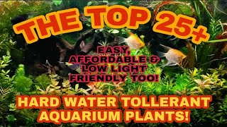 Top 25+ Hard Water Loving Aquarium Plants! + They're All Easy Care, Low Light Friendly & Affordable. screenshot 2