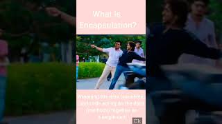 What is Encapsulation|#shorts#trending#funny#programming #tamil #encapsulation#whatsappstatus