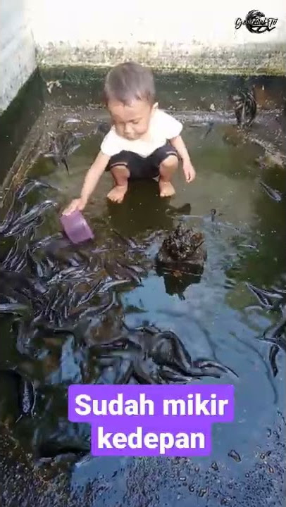 Download lagu Tangkap LeLe buat maem Geva sendiri‼️