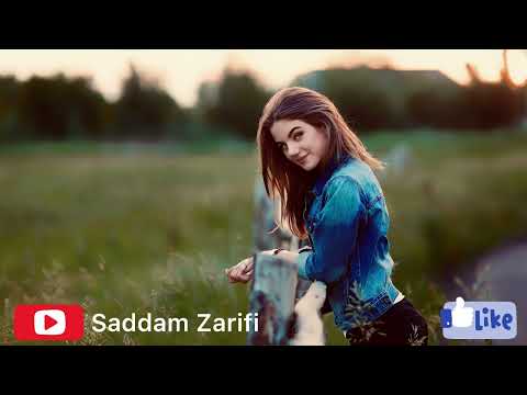 بی وفا شدی دختر بریزه جیگرت آهنگ عاشقانه از ادیب عیار Adib Ayar Bewafa Shudi Dokhtar Briza Jigart