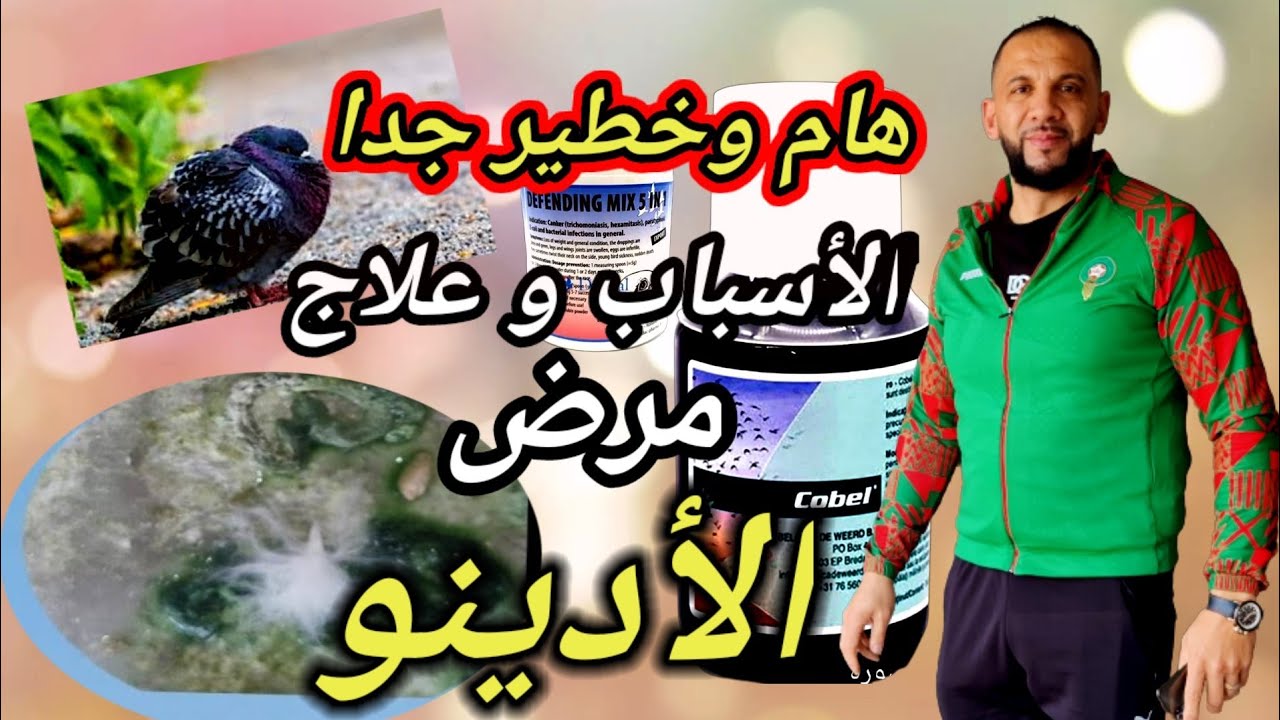 درس حول مرض( الأدينو إيكولاي) معى الأخ ربيع (الأعراض)و(الأسباب)و(العلاج)  🤔2023