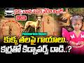 LIVE🔴:కుక్క చావు వెనుక వేడిని మిస్టరీ | Kakinada Jahnavi Missing Case Update |Dog Post Mortem Report